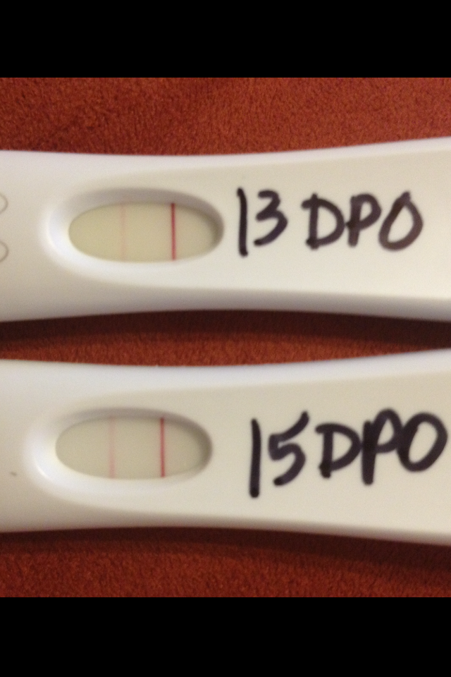 pregnancy positive test abortion after even spontaneous  so My Action News Live called  abortion