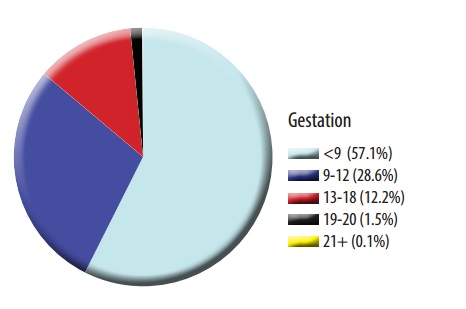 Ohio 2013 Abortion Report Gestation