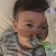 alfie evans