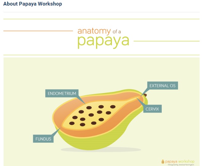 Image: UCSF Innovating Education Papaya Workshop teaches abortion