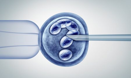 IVF, human-animal hybrid, pioneer