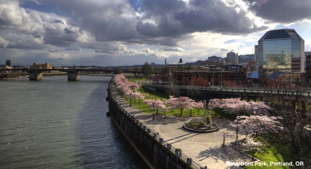 Portland, free speech