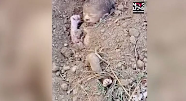 Baby Girl Rescued After Being Buried Alive In Field In India