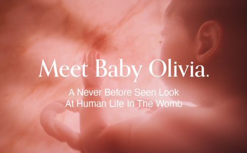 Another Tennessee school district considers using ‘Baby Olivia’ video in high school curriculum