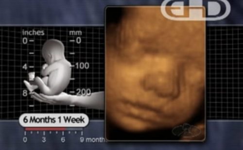 Georgia legislature introduces bill to make killing preborn children a ‘right’