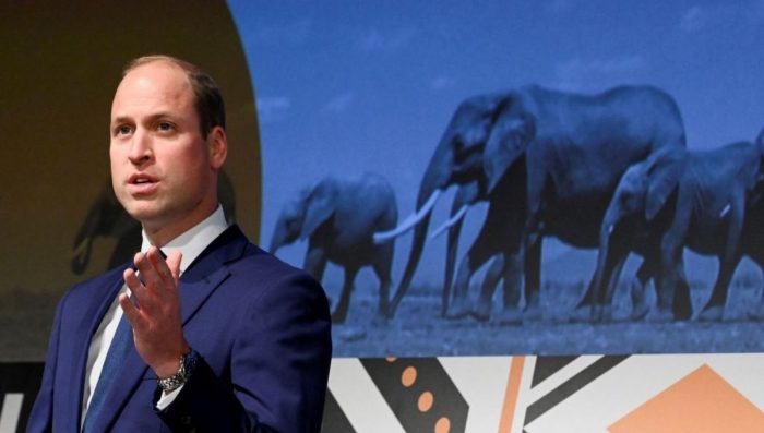 Prince William claims Africa's 'human population presents a huge challenge'