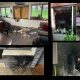 Image: Arson at four pro-life centers among pro-abortion violence following leaked SCOTUS draft opinion