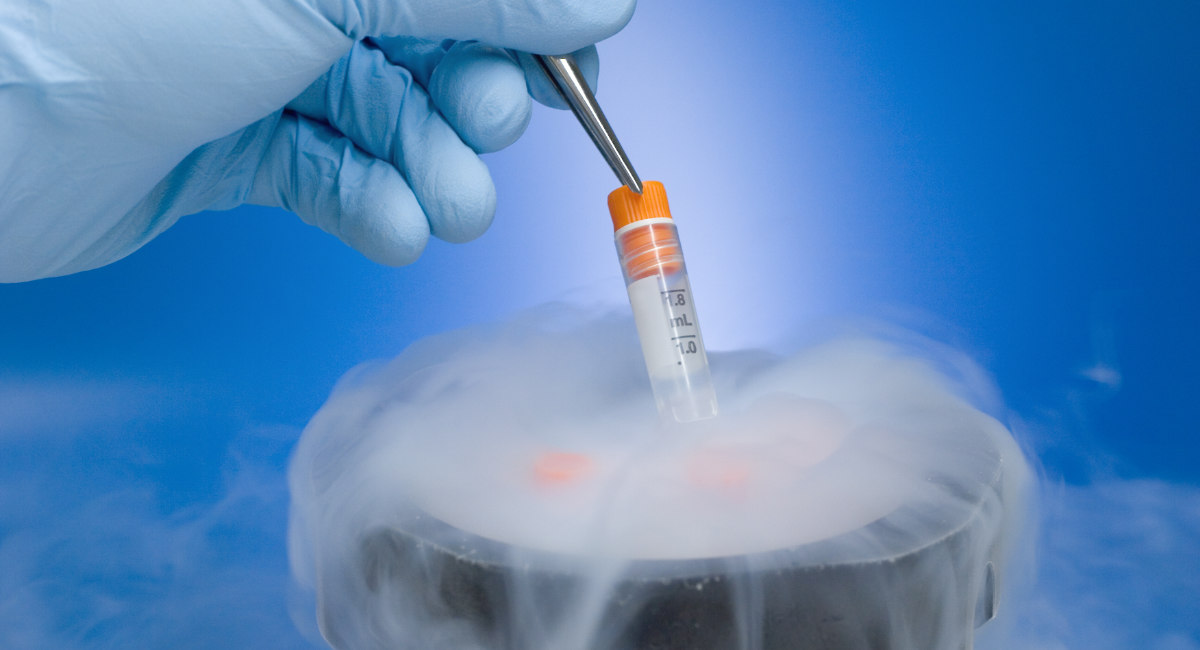 frozen embryo, embryos