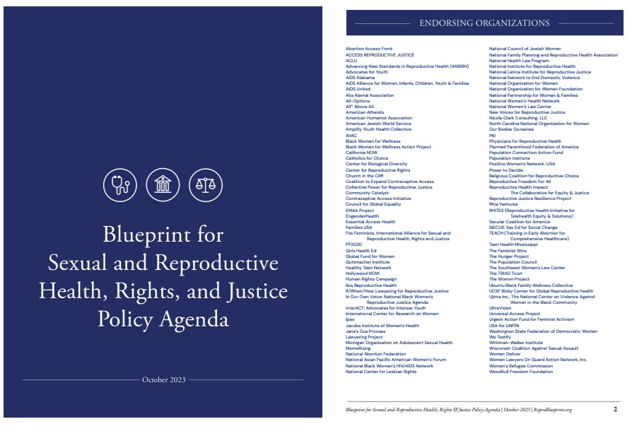 Abortion Manifesto Blueprint for Sexual and Reproductive Health released October 2023