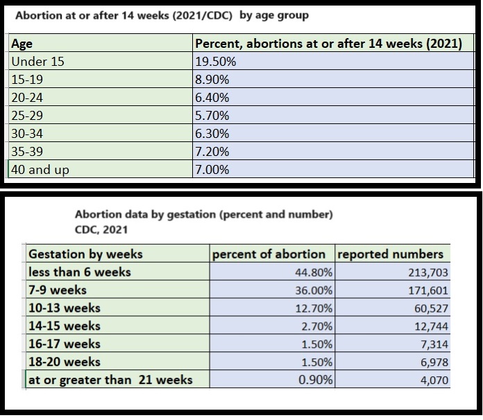 Later abortions, CDC 2021