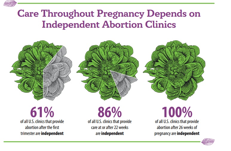 Independent Abortion Clinics commit majority of later abortions (ACN 2023 AR)