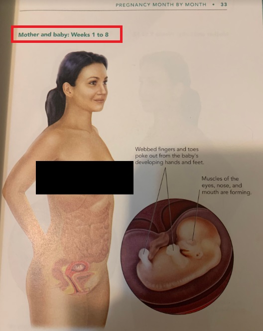 ACOG pregnancy book 7th edition calls embryo baby
