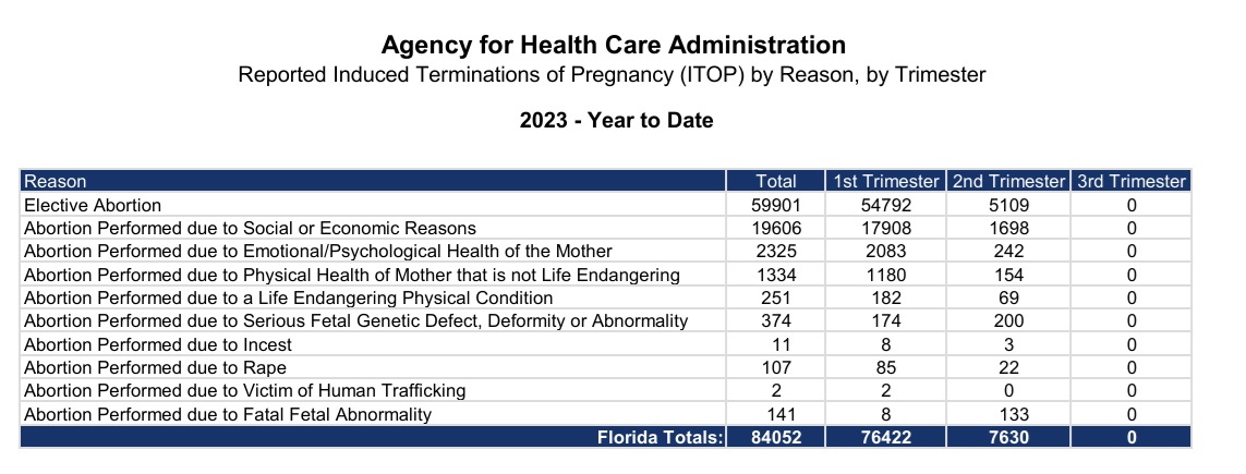 Florida abortion by reason 2023