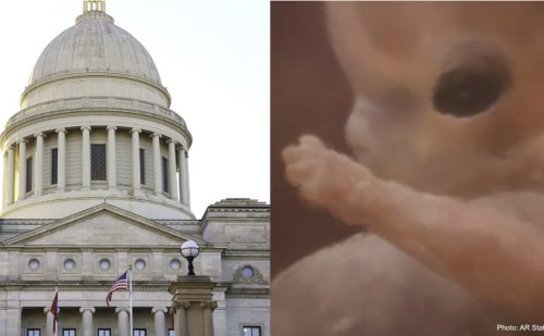 Arkansas House passes prenatal education bill, which now advances to Senate